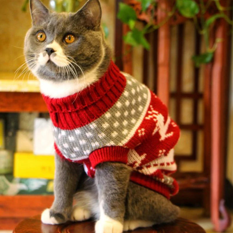 Cat Sweater Costume Winter Warm