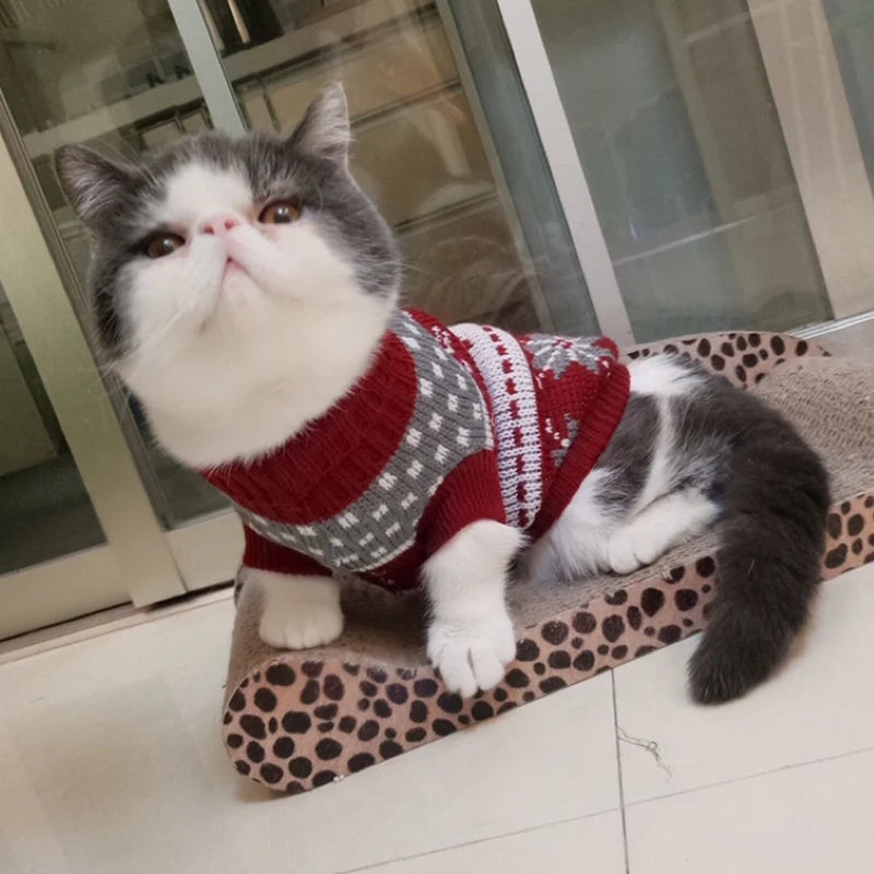 Cat Sweater Costume Winter Warm