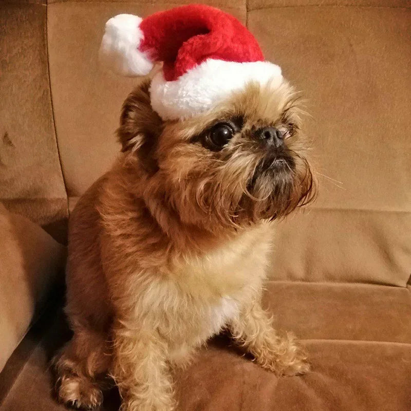 Pet Christmas Hat Dog Cat Santa Claus Caps