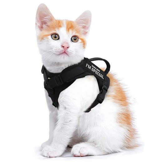 Pet Cat Harness Adjustable Mesh Vest Walking Lead