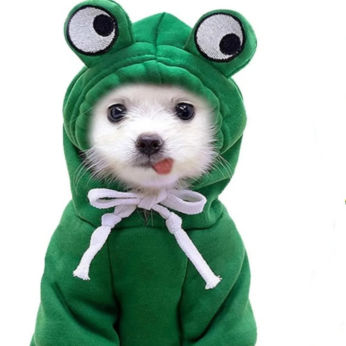 Froggie Dog Sweater Coat